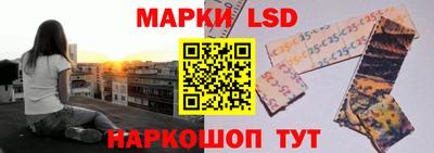 прущие грибы Новозыбков