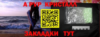 прущие грибы Новозыбков