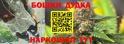 прущие грибы Новозыбков