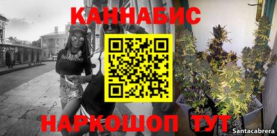прущие грибы Новозыбков