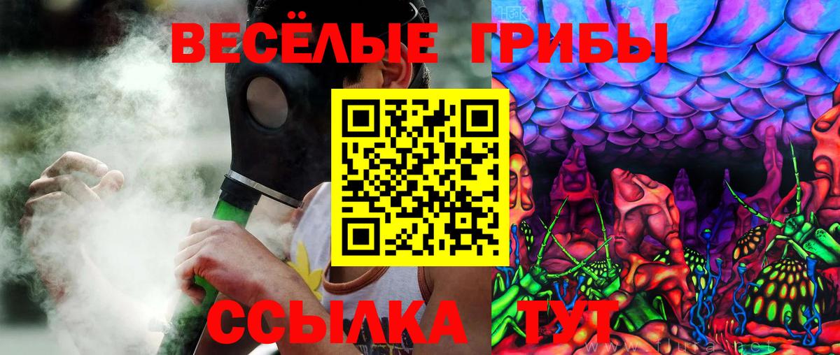 Галлюциногенные грибы Psilocybine cubensis Шали