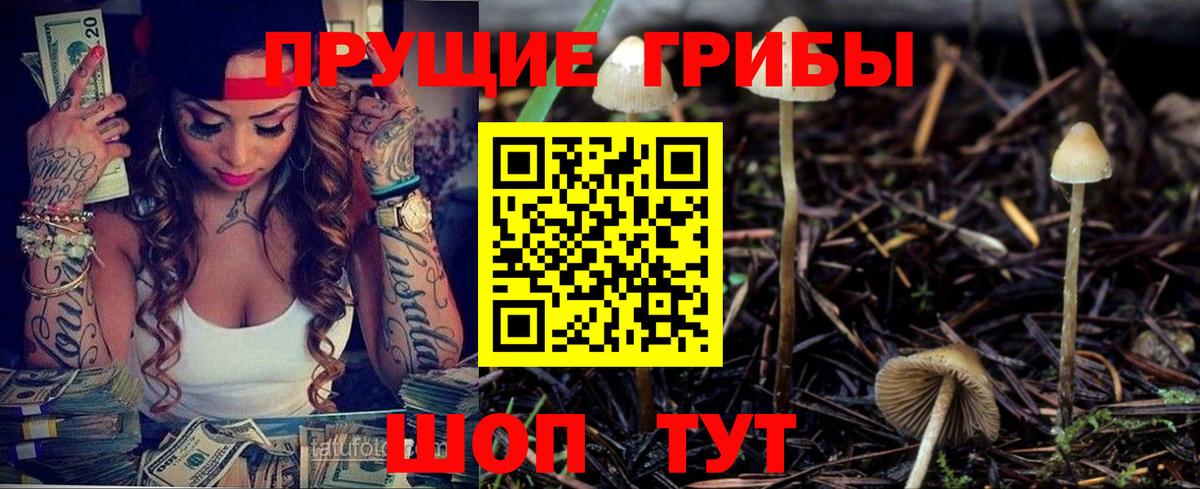 Шали  Псилоцибиновые грибы MAGIC MUSHROOMS  Псилоцибиновые грибы мицелий  Вход с VPN 